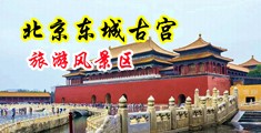 鸡巴插屄视频网站中国北京-东城古宫旅游风景区