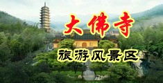 艹抽插舔舔一区视频中国浙江-新昌大佛寺旅游风景区